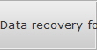 Data recovery for Micro data